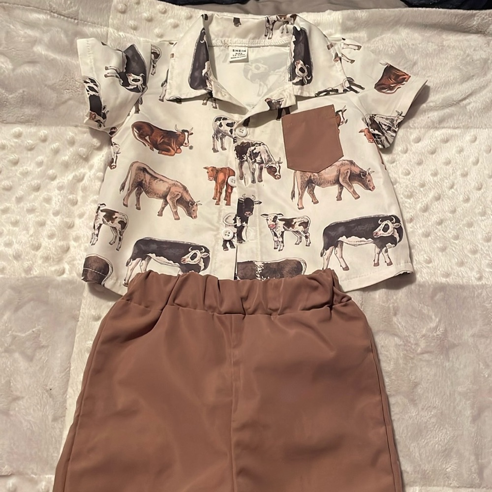 Cow set with shorts